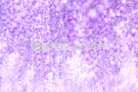 ������ƣ