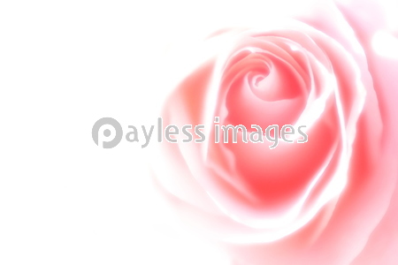 �ϥ��������᡼��_�Х�