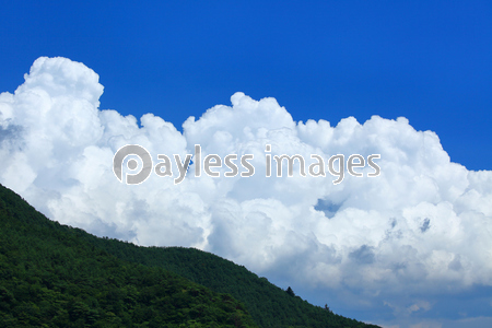 �ٻλ����鸫����ƻ��