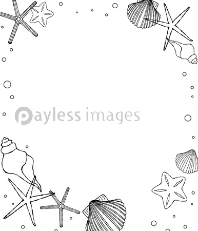 フレーム 貝 ヒトデ 夏 モノクロ ストックフォトの定額制ペイレスイメージズ