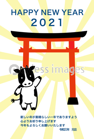丑年 年賀状 ハッピーニューイヤー 英語 年賀21 商用利用可能な写真素材 イラスト素材ならストックフォトの定額制ペイレスイメージズ