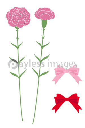 切り絵のようなカーネーションとリボンのイラスト セット ベクター 商用利用可能な写真素材 イラスト素材ならストックフォトの定額制ペイレスイメージズ