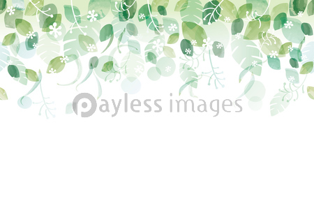 新緑のシームレスな背景イラスト ストックフォトの定額制ペイレスイメージズ