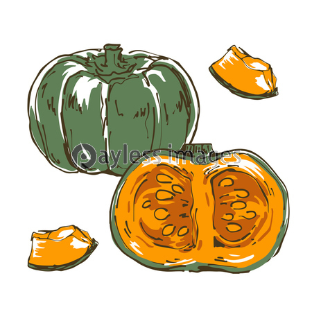 とうもろこし 野菜の手描きスケッチイラスト 商用利用可能な写真素材 イラスト素材ならストックフォトの定額制ペイレスイメージズ