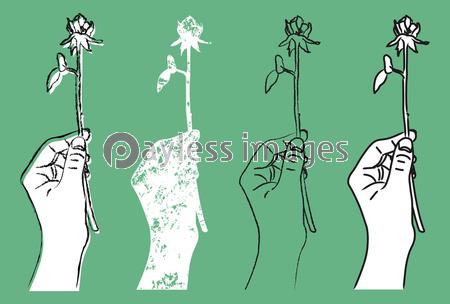 緑色の背景に描かれた一輪の薔薇を掴んでいる手のイラスト 4つのバリエーション 商用利用可能な写真素材 イラスト 素材ならストックフォトの定額制ペイレスイメージズ 緑色の背景に描かれた一輪の薔薇を掴んでいる手のイラスト 4つのバリエーション 商用利用可能な写真素材 イラスト 素材ならストックフォトの定額制ペイレスイメージズ