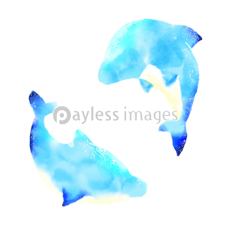 2頭のイルカの水彩画 商用利用可能な写真素材 イラスト素材ならストックフォトの定額制ペイレスイメージズ