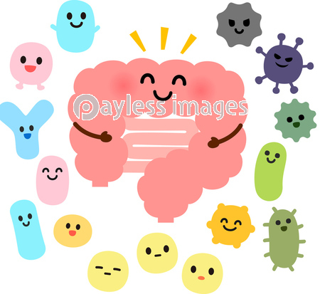 大腸にいる善玉菌と悪玉菌 商用利用可能な写真素材 イラスト素材ならストックフォトの定額制ペイレスイメージズ 大腸にいる善玉菌と悪玉菌 商用利用可能な写真素材 イラスト素材ならストックフォトの定額制ペイレスイメージズ