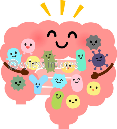 大腸にいる善玉菌と悪玉菌 商用利用可能な写真素材 イラスト素材ならストックフォトの定額制ペイレスイメージズ