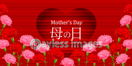 母の日 カーネーション ハート 背景 - ストックフォトの定額制ペイレス