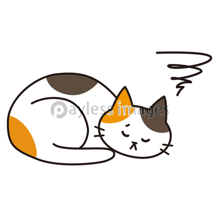具合が悪い三毛猫 商用利用可能な写真素材 イラスト素材ならストックフォトの定額制ペイレスイメージズ