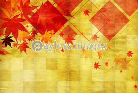 紅葉 もみじ 秋 背景 商用利用可能な写真素材 イラスト素材ならストックフォトの定額制ペイレスイメージズ