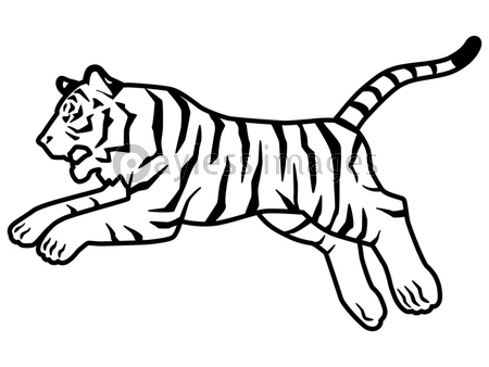 虎のシルエットもしくは線画のイラスト素材 横向き ジャンプ 商用利用可能な写真素材 イラスト素材ならストックフォトの定額制ペイレスイメージズ