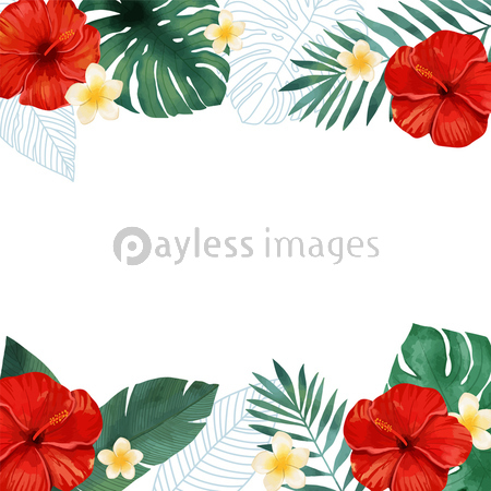 水彩風円形フレーム 商用利用可能な写真素材 イラスト素材ならストックフォトの定額制ペイレスイメージズ