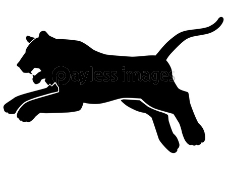 虎のシルエットのイラスト素材 横向き 吠える 縞模様なし 商用利用可能な写真素材 イラスト素材ならストックフォトの定額制ペイレスイメージズ