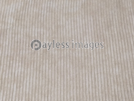 �Ĥ��ޤΥƥ��������Ǻ�