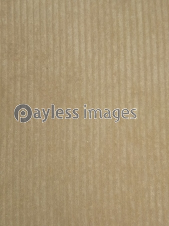 �Ĥ��ޤΥƥ��������Ǻ�