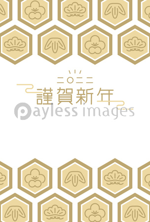 22年寅年 亀甲模様の和柄デザインの年賀状テンプレート 商用利用可能な写真素材 イラスト素材ならストックフォトの定額制ペイレスイメージズ