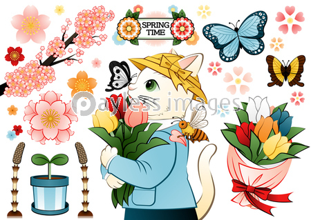 猫のイラスト春のデザイン「SPRING TIME」チューリップ・蝶・蜂・桜・土筆・双葉・花束
