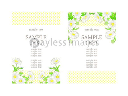 手描きの花 マーガレットのイラストフレーム 商用利用可能な写真素材 イラスト素材ならストックフォトの定額制ペイレスイメージズ