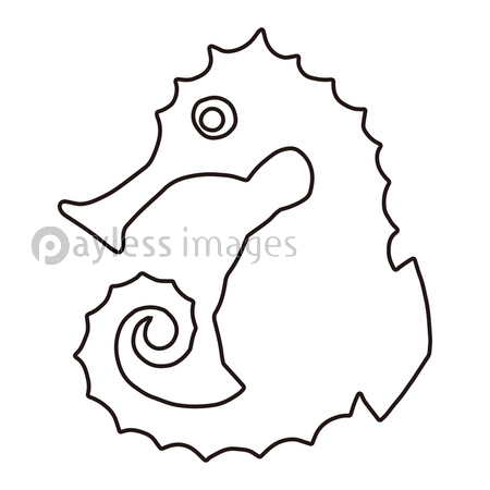 ���ĥΥ��ȥ���������