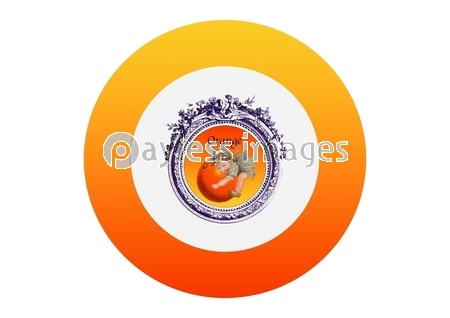 ����󥸥ե졼�С��߷��ӥ�ơ�����٥�ǥ�����