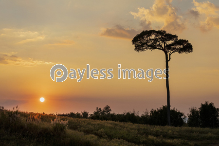 タイ国カオコーの夕焼け