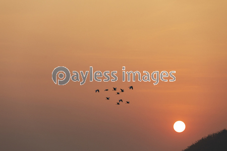 タイ国ケーンクラチャンダムの朝日