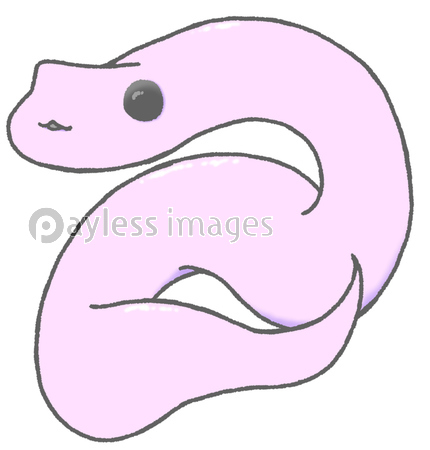 かわいいヘビが丸く巻かれたイラスト - 商用利用可能な写真素材