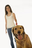 Dog+on+leash+with+girl.