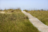 Wooden+access+pathway+to+beach.
