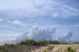 Sand+dune+with+beach+grass.