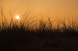 Sunset+over+sand+dune.