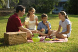 Family+having+picnic.