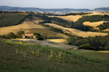 Tuscany%2C+Italy+countryside.
