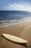 Surfboard+on+Maui+beach.