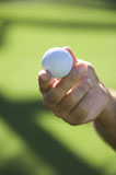 Hand+holding+golf+ball.