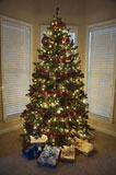 Christmas+tree.