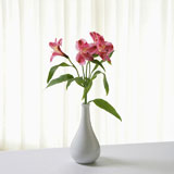 Flowers+in+vase.