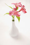 Pink+flowers+in+vase.