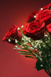 Bouquet+of+red+roses.
