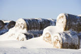 Snow+on+hay+bales.