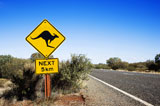 Kangaroo+crossing+Australia