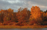 Autumn+Colors+at+Lake+of+the+Woods%2C+Ontario%2C+Canada