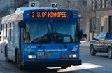 Transit+bus+on+street+in+Winnipeg
