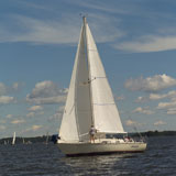 A+sail+boat+sailing+in+a+Lake+of+the+woods%2C+Ontario%2C+Canada