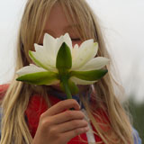 Close-up+of+a+young+girl+smelling+a+lotus