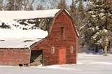 Derelict+Barn+on+Farm+in+Alberta+Canada
