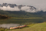 Row+Boats+at+shoreline+of+Athabasca+River%2C+Jasper+National+Park