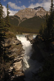 Athabasca+Falls%2C+Jasper+National+Park%2C+Canada