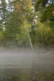 Mist+over+lake+at+edge+of+forest